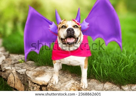 Portrait of an American pit bull terrier dressed in a dragon costume with horns and wings. Dragon is the symbol of 2024. The photo can be used for a calendar page.