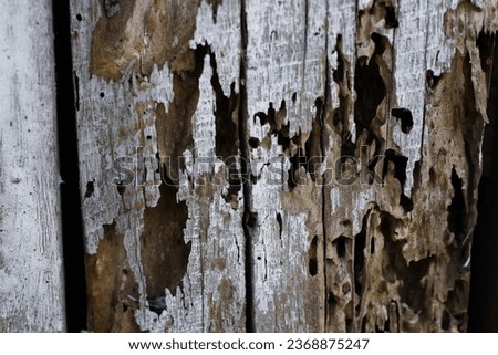 Closeup picture of old rustic wooden planks eaten by caries.weathered wooden walls were eaten by termites