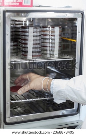 Biochemist inserting a secretion culture into a refrigerato Royalty-Free Stock Photo #2368878405