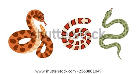 Set of different snakes. Hand drawn vector collection of elapidae, python, rattlesnake. Tropical or Wild West poison viper in the top and front view. Vector wildlife concept. Dangerous serpent.