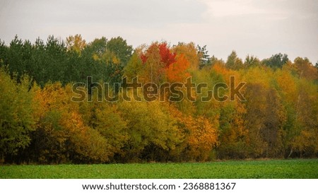 Autumn pictures of extremely colorful nature
