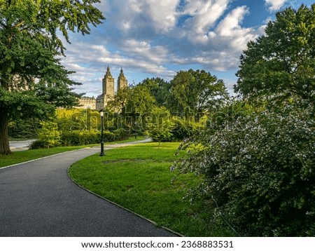 Central Park in New York City in the summer