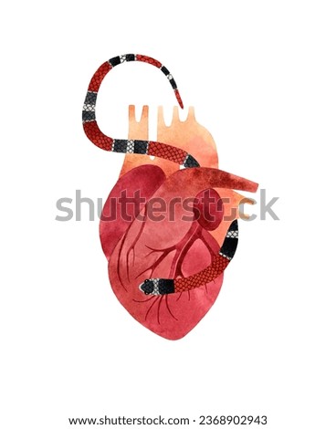 Watercolor illustration of a magic human heart with a coral striped snake. Hand-painted esoteric symbol isolated on a white background