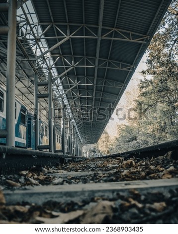 Autumnal railway platform concept photo. Passenger train in parkland. Railroad in Europe. Commercial transportation. High quality picture for wallpaper, travel blog.