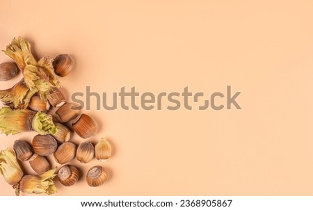 Autumn composition. Hazelnuts on beige background with copy space. View from above. Flat layout. Left.
