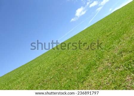 green grass, blue sky