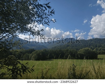 Landscape picture with green meadow, dry hay rolls and mountains at the background