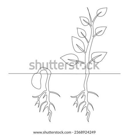 One line drawing Plant growth processing illustration