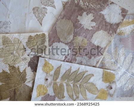 Botanical contact dyeing using leaves, close up. Natural prints on the paper