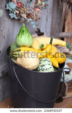 Basket of vegetables. Food. Autumn. Beautiful autumn pictures.