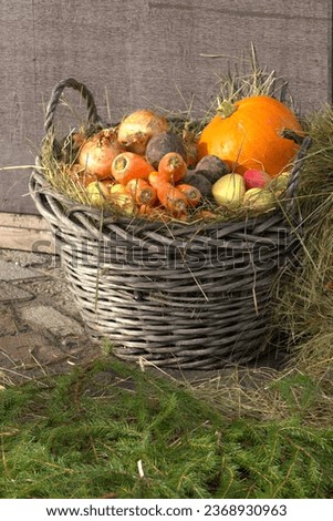 Basket of vegetables. Food. Autumn. Beautiful autumn pictures.