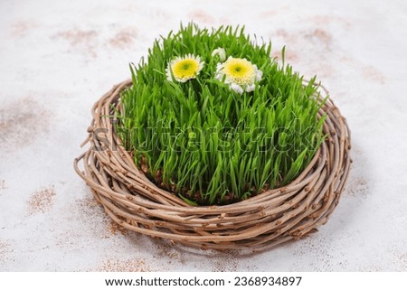 Easter background with green grass and flowers and sweet eggs.