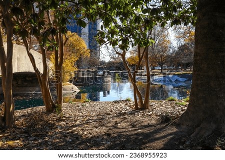 a gorgeous shot of autumn landscape in the park with a still lake and gorgeous autumn colored trees reflecting off the lake with blue sky and the cityscape at Marshall Park in Charlotte North Carolina