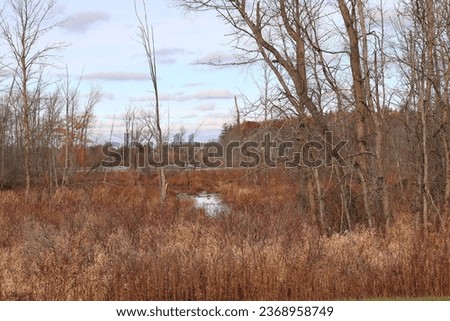 Moose Country and Quiet Fishing hole Royalty-Free Stock Photo #2368958749