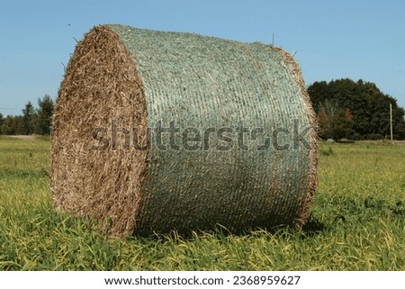 A single Round Hay Bale in an agricultural field. Royalty-Free Stock Photo #2368959627