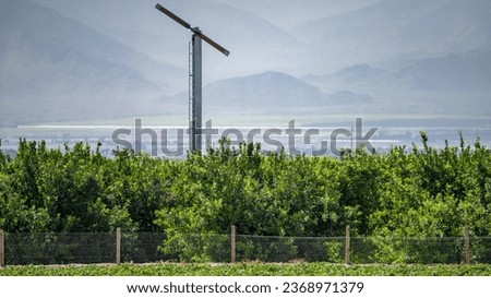 citrus field, wind generator and dramatic hills in background