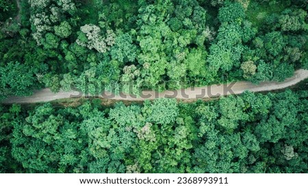Top down view from drone over a small dirt road with trees and forest around, transportation, dirt access, nature, aerial landscape, panorama Royalty-Free Stock Photo #2368993911