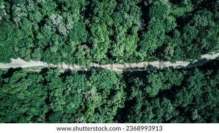 Top down view from drone over a small dirt road with trees and forest around, transportation, dirt access, nature, aerial landscape, panorama Royalty-Free Stock Photo #2368993913