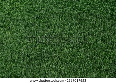 Pictures of beautiful natural landscapes, corn field