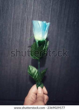 Blue roses are a rare variety of roses. This flower is often considered a symbol of mystery, magic and dreams.