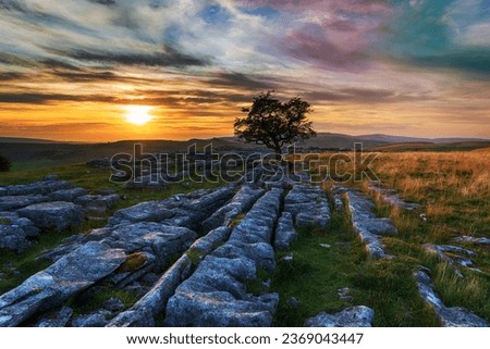 Sunset over a windswept Hawthorn tree growing out of a limestone pavement at Winskill in the Yorkshire Dales Royalty-Free Stock Photo #2369043447