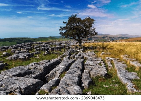 Limestone pavements at the Winskill Stones near Settle in the Yorkshire Dales National park Royalty-Free Stock Photo #2369043475