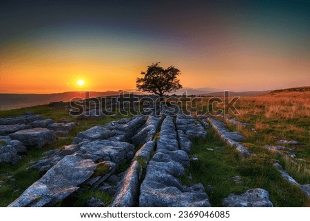 Beautiful sunset over a lone Hawthorn tree growing out of a limestone pavement at the Winskill Stones in the Yorkshire Dales Royalty-Free Stock Photo #2369046085