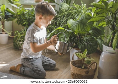 Little cute boy is watering indoor plants from a stylish watering can in a designer white home interior. The child helps around the house.