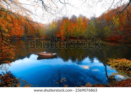 View of colorful yellow, orange and red leaves on tree branches in autumn. Autumn colors. Yedigoller National Park (Yedigöller Milli Parkı). Bolu. Turkey. Royalty-Free Stock Photo #2369076863
