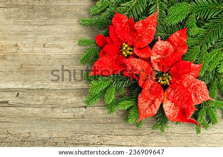 christmas tree branch with red poinsettia flower on wooden background. vintage style toned picture
