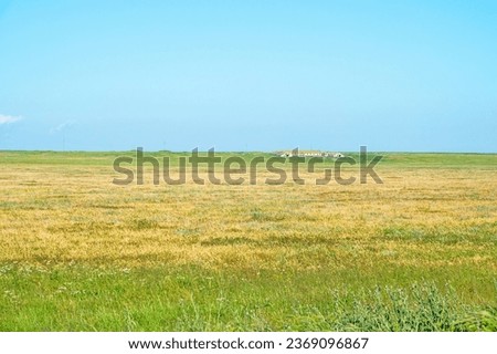 Old abandoned sheepfold shed, sheephouse (sheep farm) in steppe. Soviet Union sheep industry (sovkhoz - collective economy). Secondary steppe, pasture: cheat (Bromus), wheat grass (Agropyrum). Crimea Royalty-Free Stock Photo #2369096867