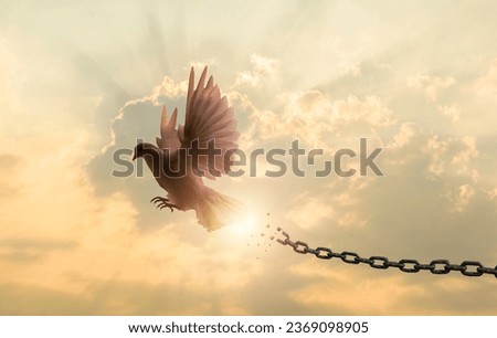 chains that transform into peace birds. freedom and charge concept.