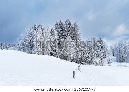 Landscape in winter time in the Thuringian Forest near Schmiedefeld am Rennsteig, Germany.