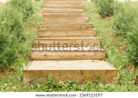 Neat wooden staircase built on small hill surrounded by lush greenery, green grass, standing in non-urban area as testament to harmonious relationship between human and unspoiled environment. Royalty-Free Stock Photo #2369123197