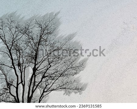 This is a landscape photo of the sky and trees whose leaves have fallen off