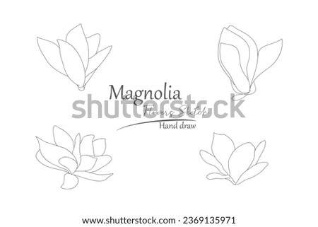 Magnolia flower petals hand drawn.
line art and sketches on white background.