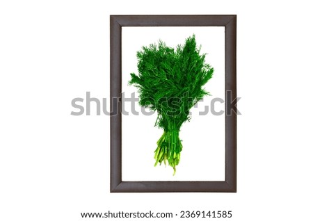 Fresh dill on white in a wooden photo frame. view from above. copy space