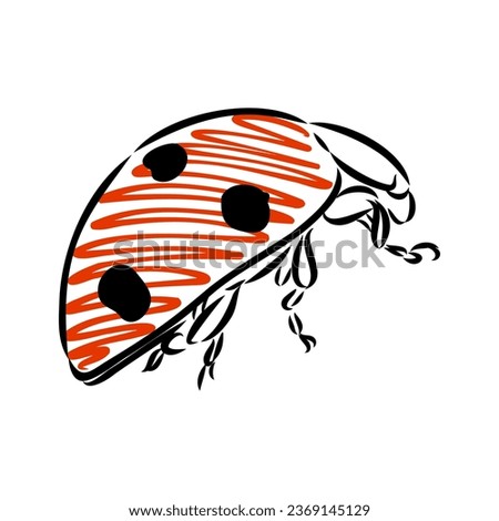 Hand drawn ink sketch of ladybug ladybug, vector sketch