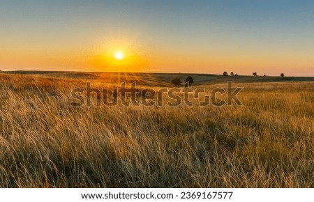 Prairies: Flat, grassy landscapes with minimal trees. Royalty-Free Stock Photo #2369167577