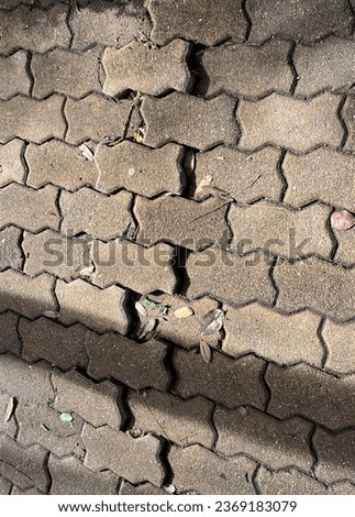 a photography of a brick wall with a crack in it, there is a close up of a brick wall with a broken window.