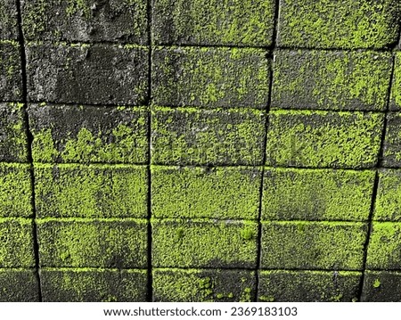 a photography of a green brick wall with a green mossy pattern.
