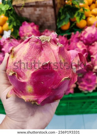 The vibrant and exotic dragon fruit.