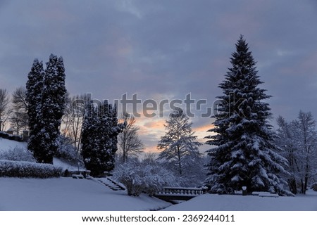 Beautiful winter photo of snow-covered evening Brukenthal Park in Avrig, Romania.