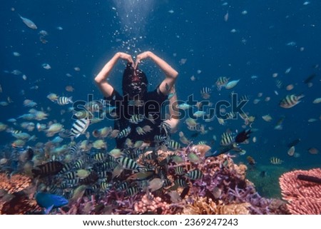young male snorkler exploring colorful underwater world coral reef with many fishes sea