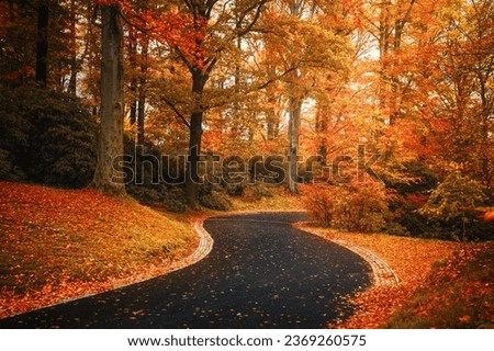 Path in autumn forest. Scenic autumn landscape with trees with vibrant leaves. The path in the park is covered with red and yellow foliage.