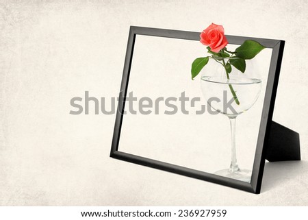 Photo frame and rose flower in the glass on paper texture. Aged textured photo in retro style  