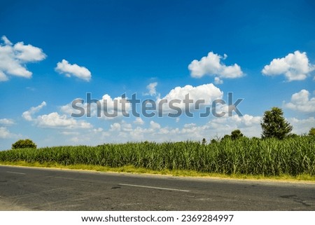 Cloudy blue sky background, vertical picture. Beautiful blue sky with tiny and soft fluffy clouds after raining. Elegant cloudy blue sky wallpaper background. Vertical image. Texture background