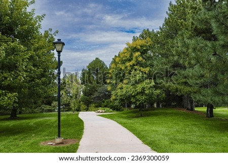 Signs of early autumn, yellow leaves on green tree, with sidewalk and cirrus clouds and blue sky
