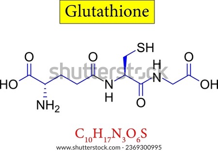 Glutathione structure ,formula .Vector illustration Royalty-Free Stock Photo #2369300995