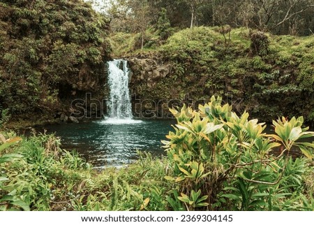 Beautiful tropical waterfall in Hawaii